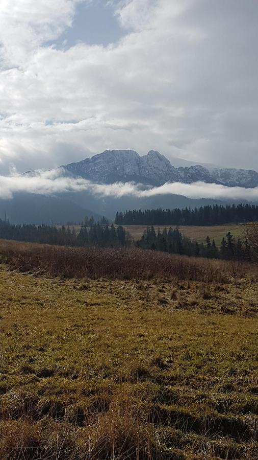 Apartament Na Brzyzku Zakopane Extérieur photo