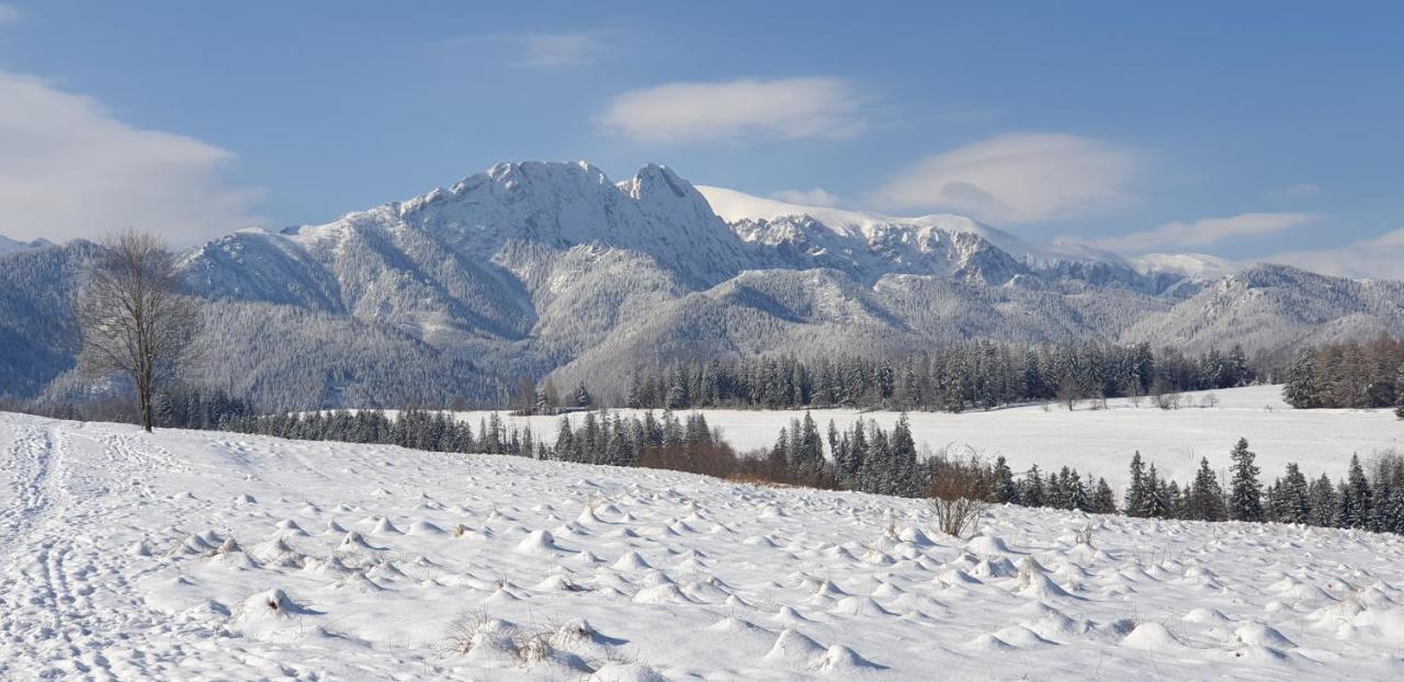 Apartament Na Brzyzku Zakopane Extérieur photo